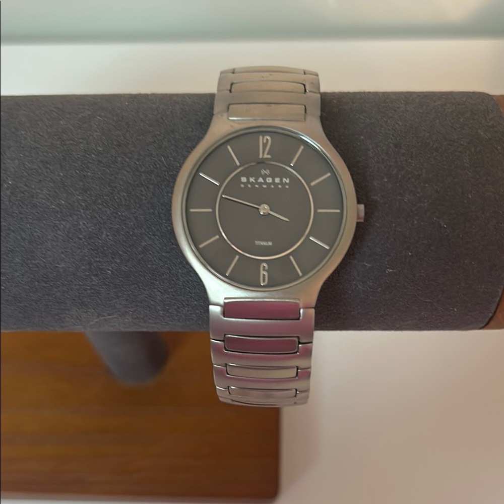 Skagen Silver and Black Watch